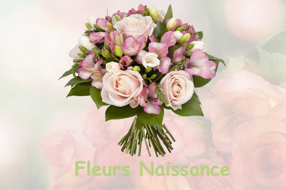 fleurs naissance SAINT-FRAIMBAULT-DE-PRIERES